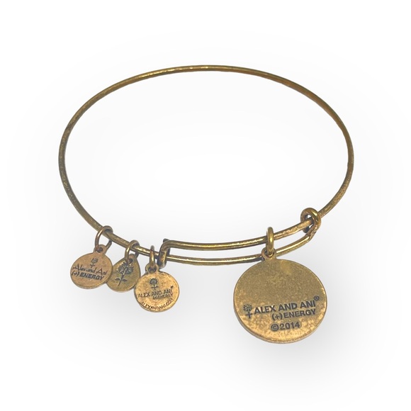 Alex and Ani ❤︎︎ Because I Love You Mom Expandable Bangle Bracelet ❤︎︎ Gold ❤︎︎ - Picture 6 of 16